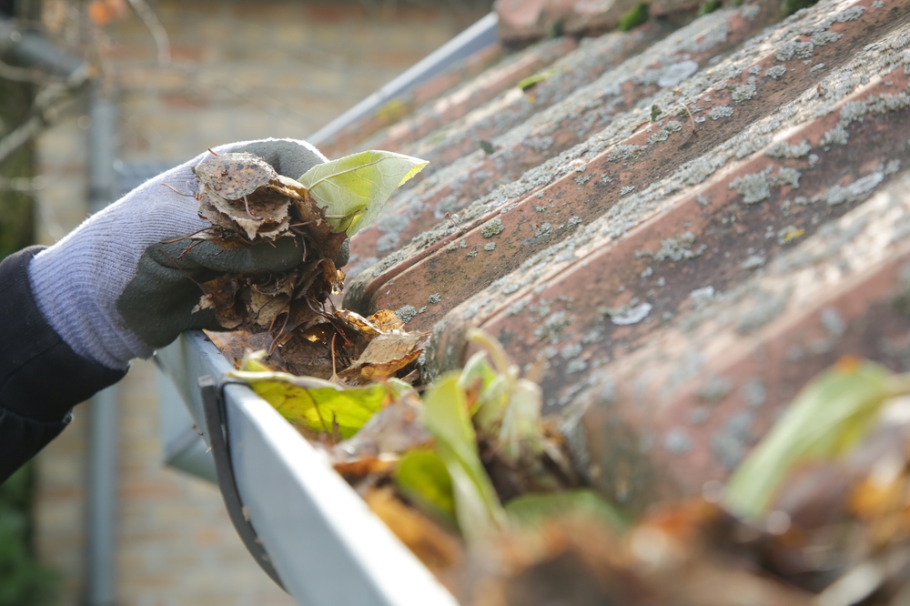 The Cost of Neglect: Long-Term Effects of Ignoring Gutter Problems in Wentzville