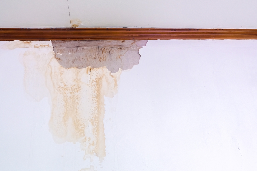 Water Stains Around Your Home: Are Your Gutters to Blame?